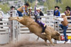 Rodeo Photos by Jason Merideth